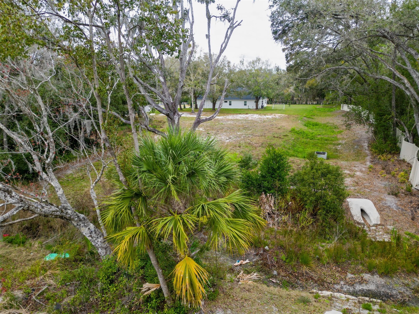 18469 Purple Creek Lane Lutz FL 33549 TB8480398 image11