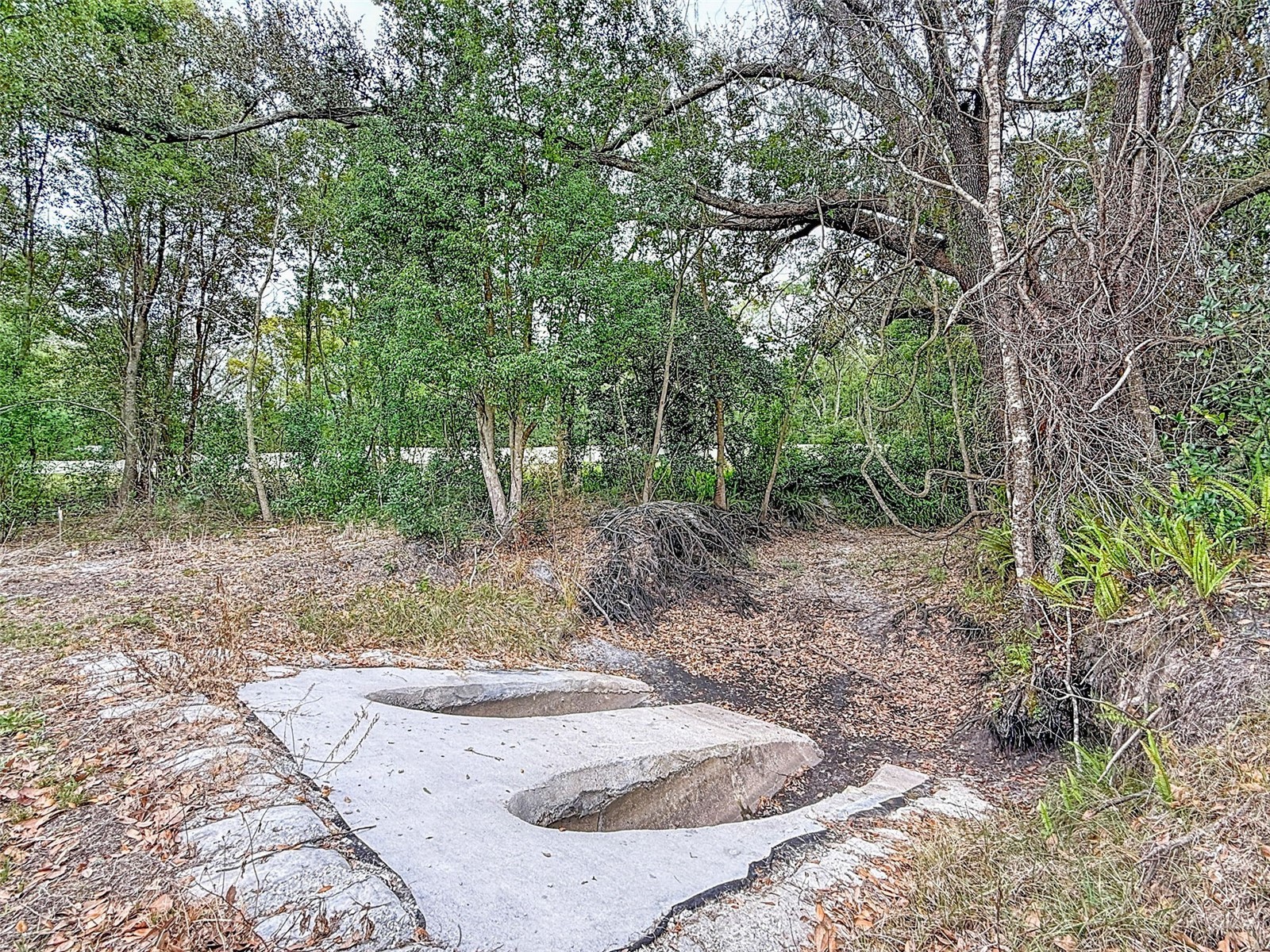 18469 Purple Creek Lane Lutz FL 33549 TB8480398 image12