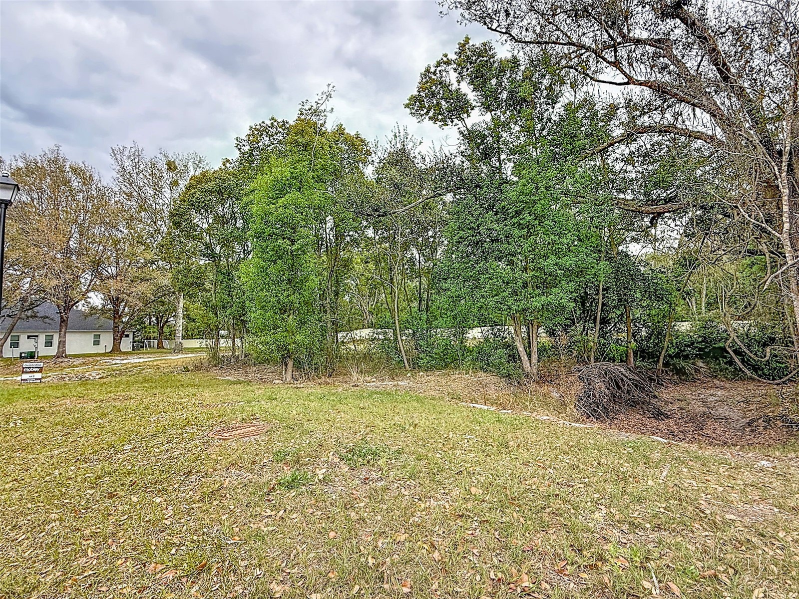 18469 Purple Creek Lane Lutz FL 33549 TB8480398 image13