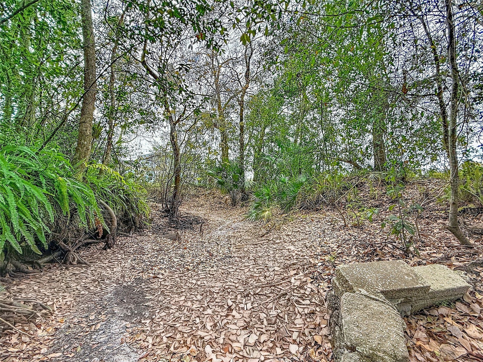 18469 Purple Creek Lane Lutz FL 33549 TB8480398 image16