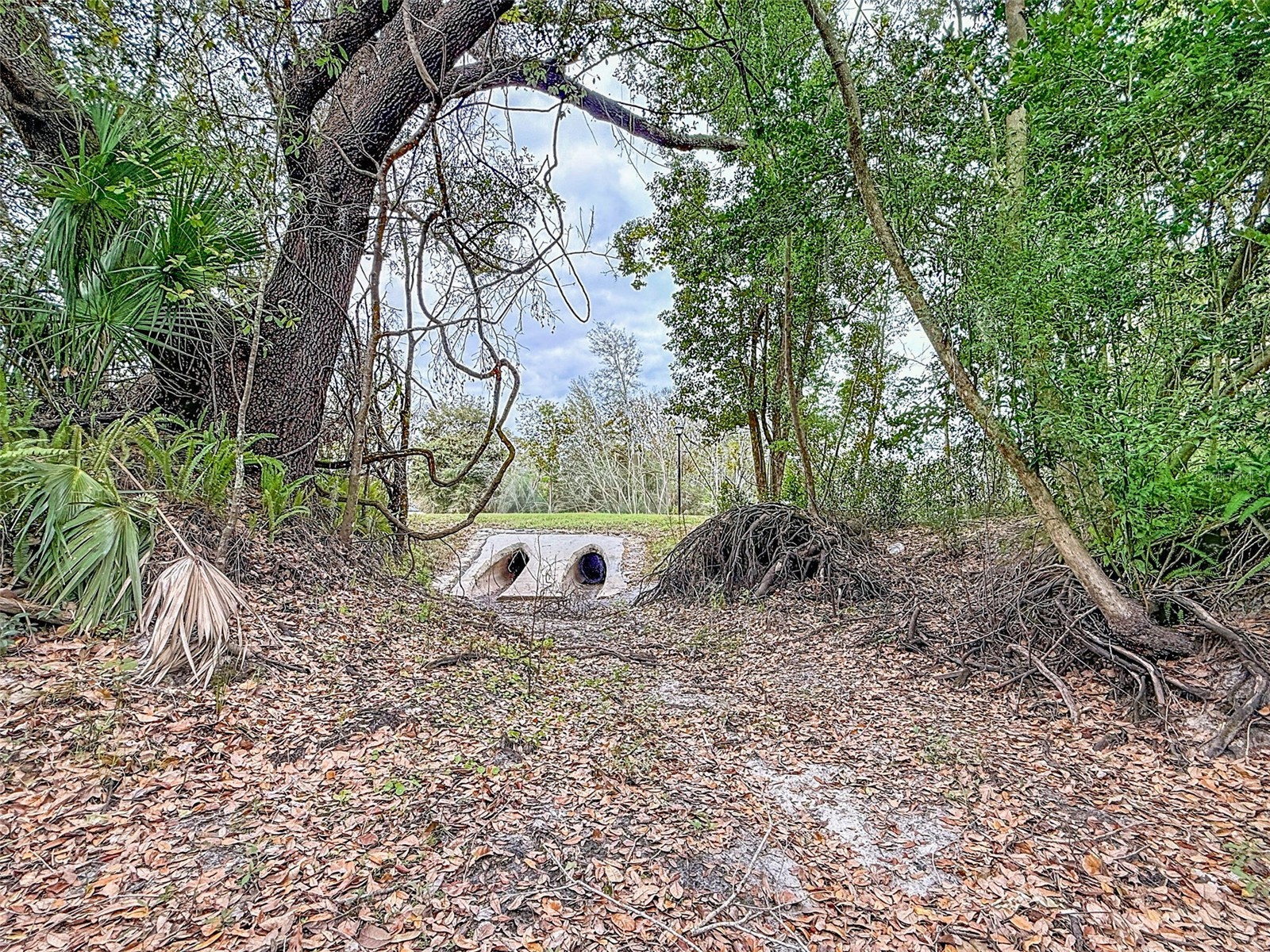 18469 Purple Creek Lane Lutz FL 33549 TB8480398 image18