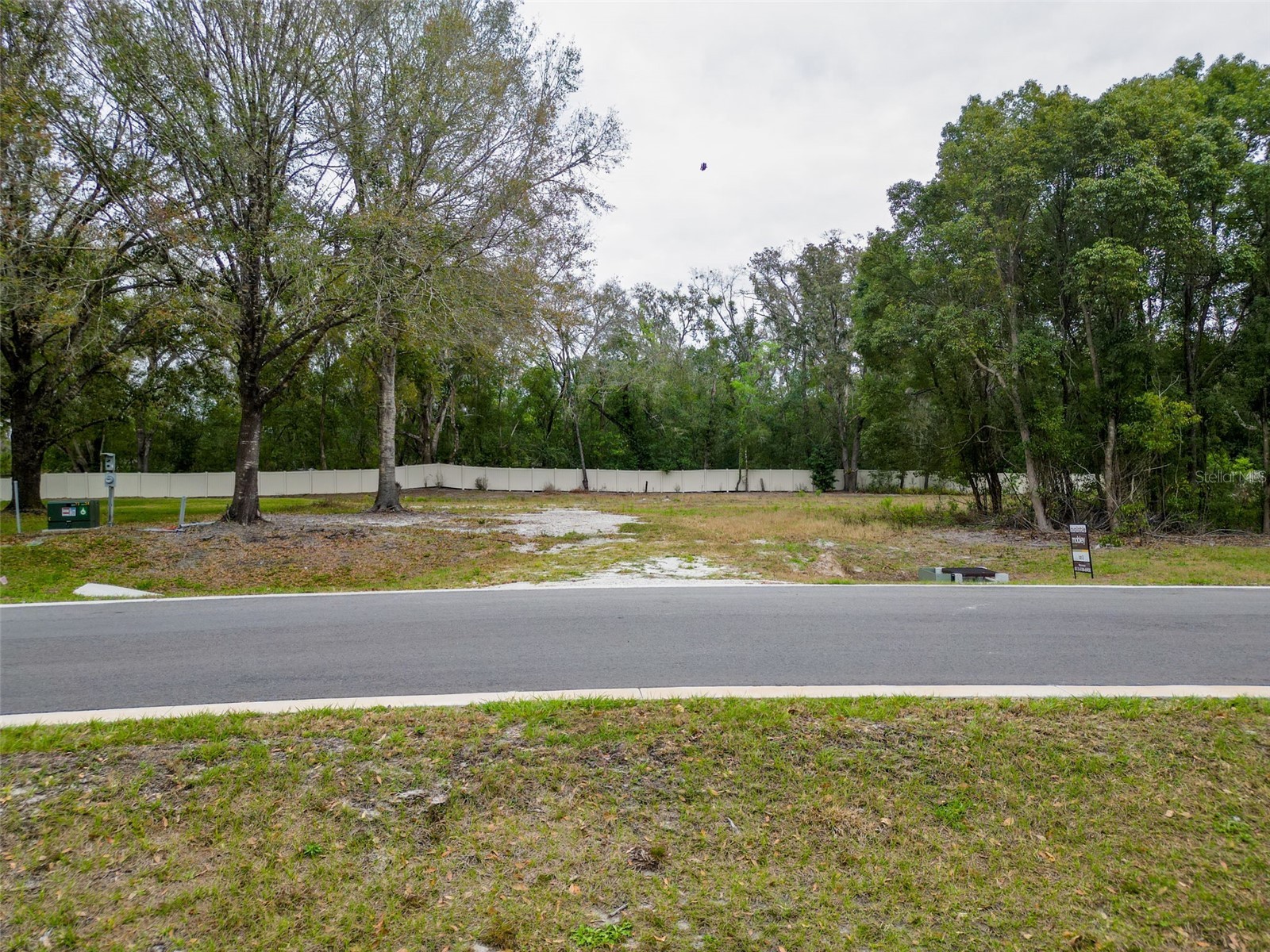 18469 Purple Creek Lane Lutz FL 33549 TB8480398 image23