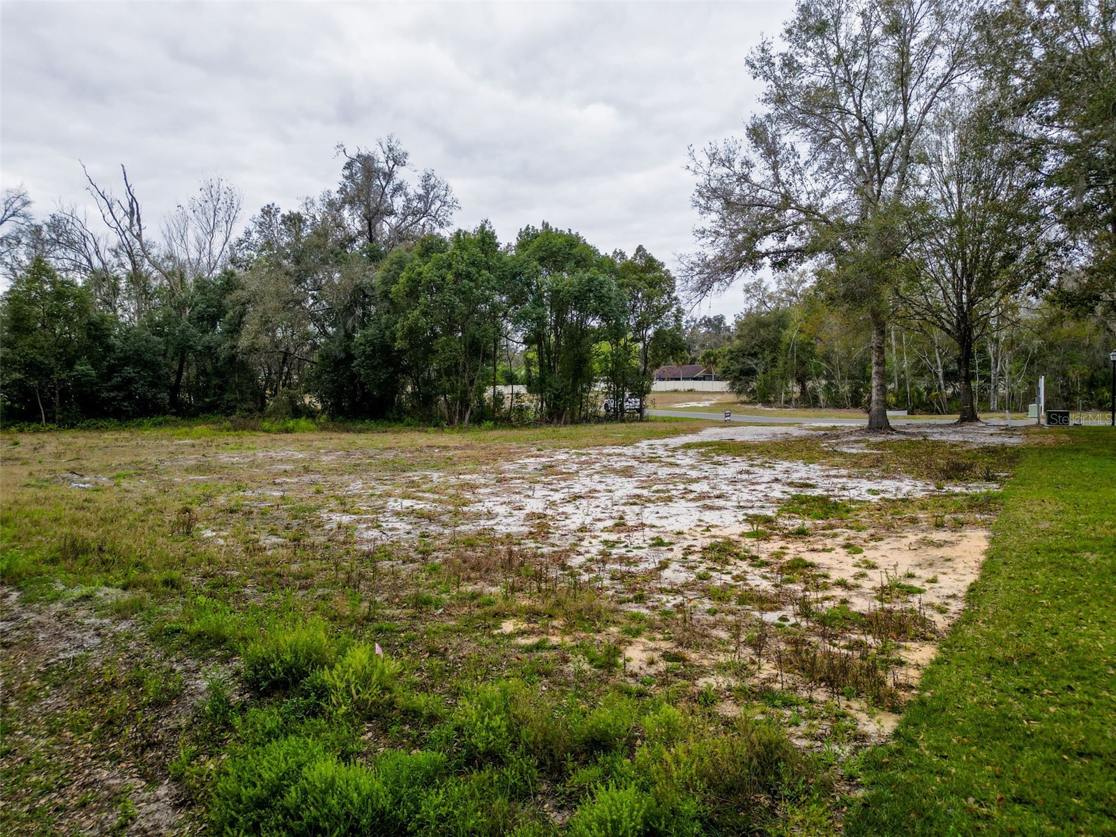 18469 Purple Creek Lane Lutz FL 33549 TB8480398 image24
