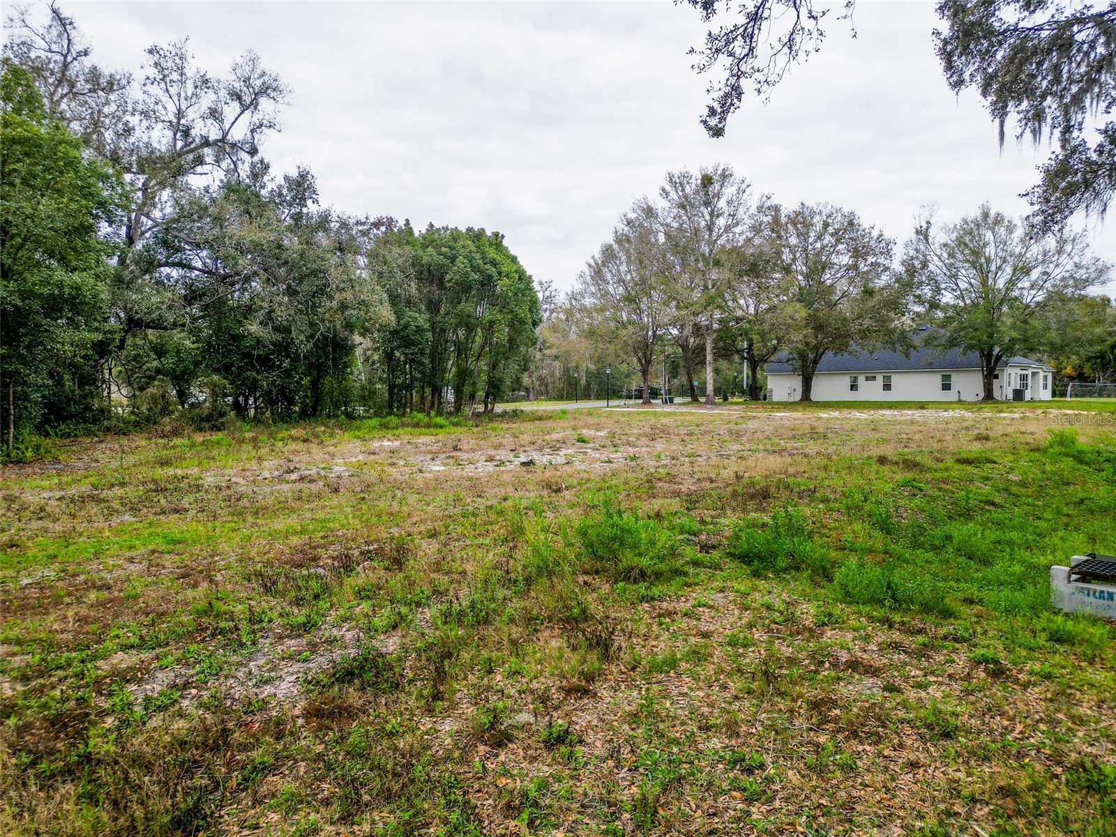 18469 Purple Creek Lane Lutz FL 33549 TB8480398 image25