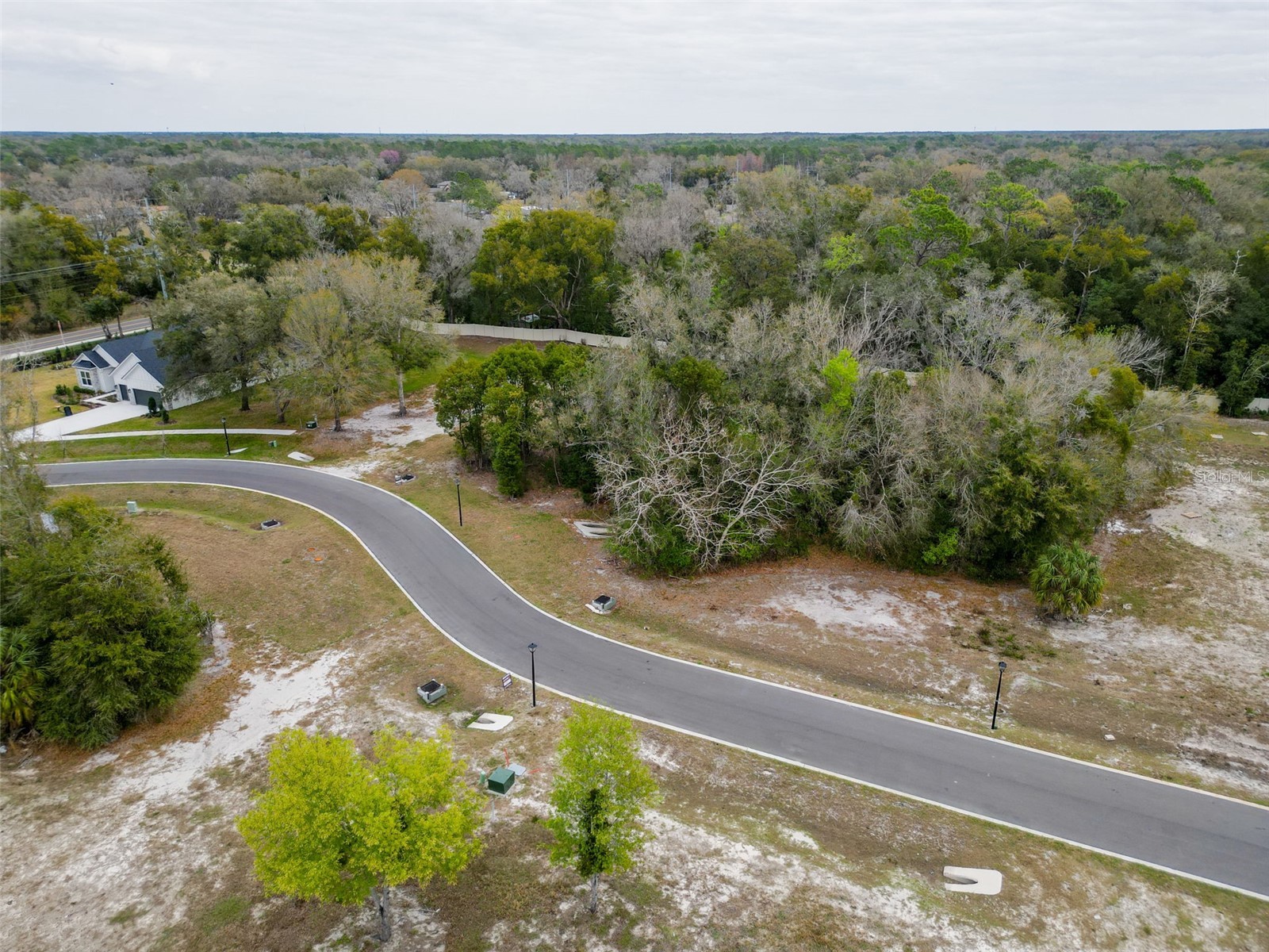 18469 Purple Creek Lane Lutz FL 33549 TB8480398 image26