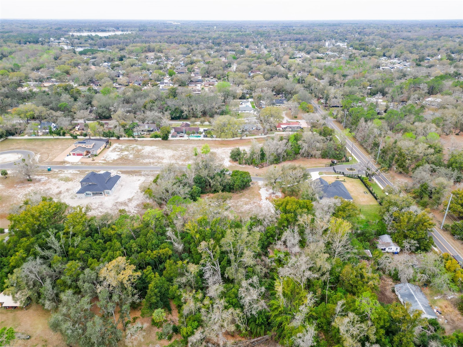 18469 Purple Creek Lane Lutz FL 33549 TB8480398 image28