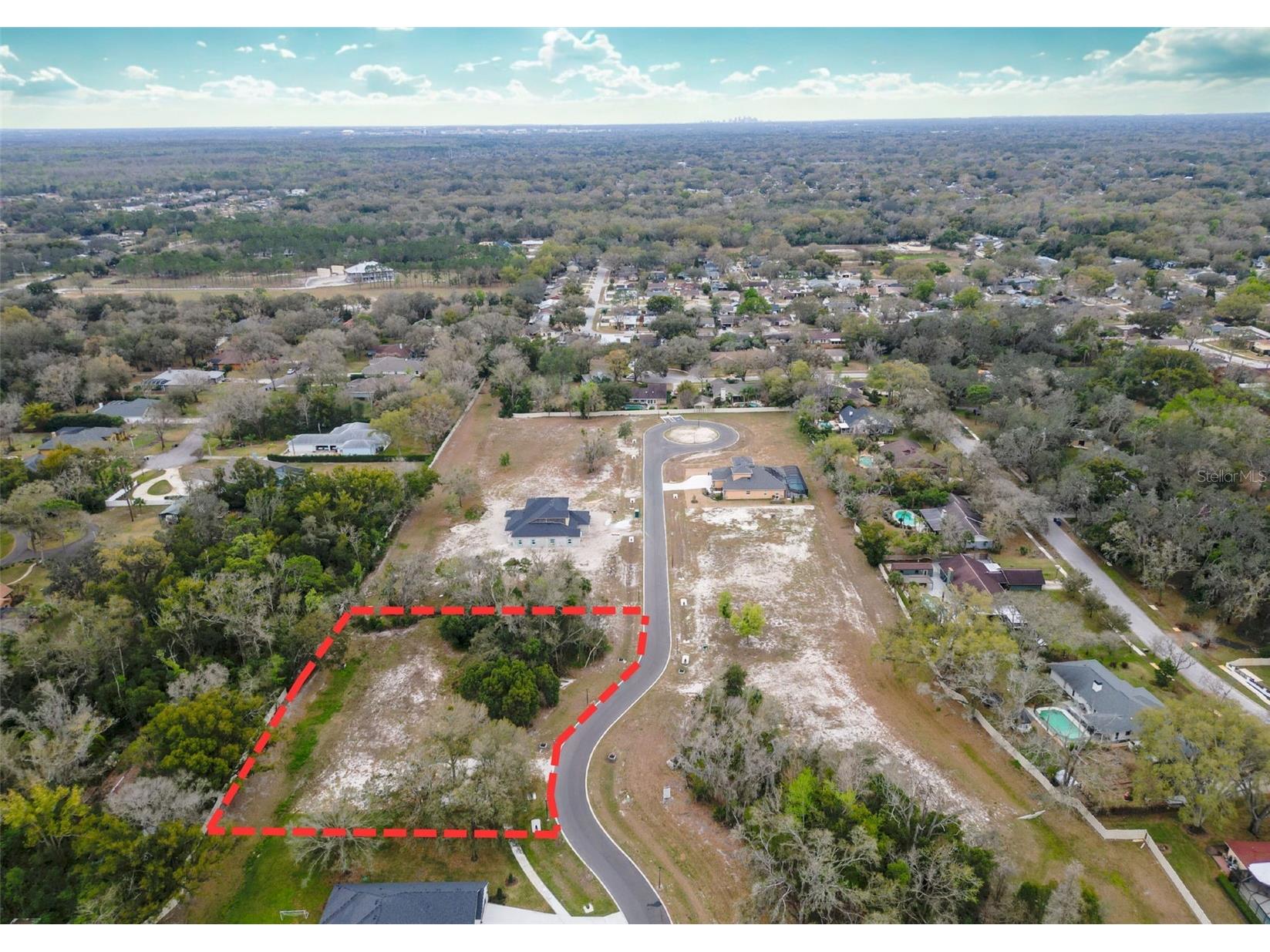 18469 Purple Creek Lane Lutz FL 33549 TB8480398 image3
