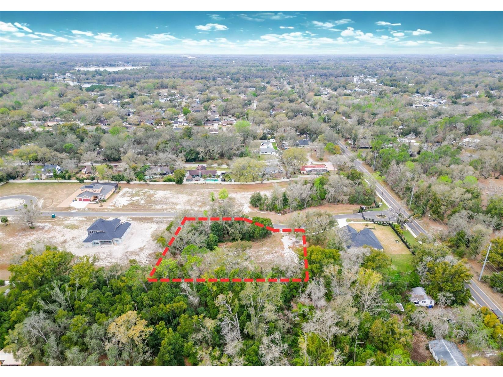 18469 Purple Creek Lane Lutz FL 33549 TB8480398 image4