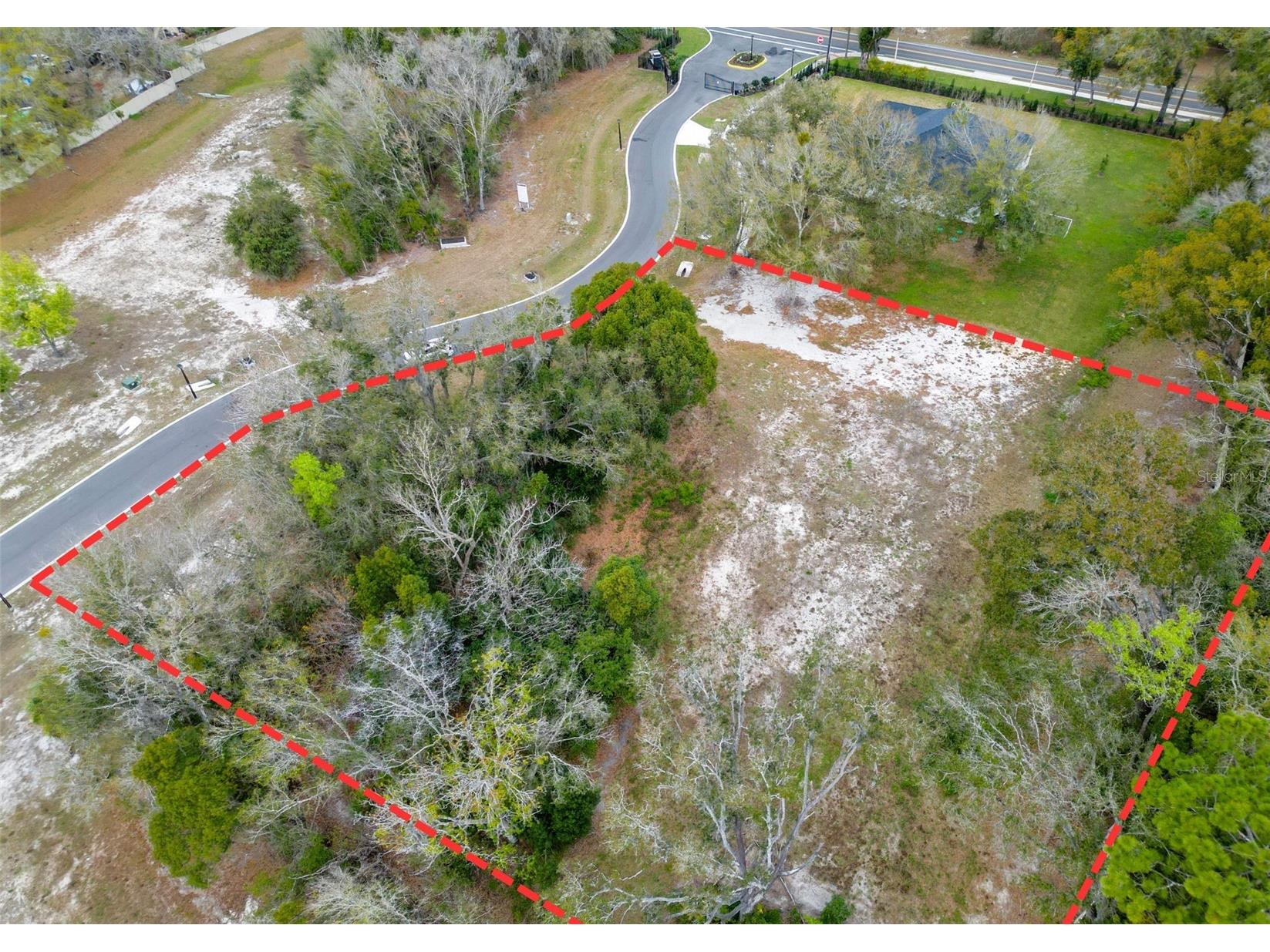 18469 Purple Creek Lane Lutz FL 33549 TB8480398 image5