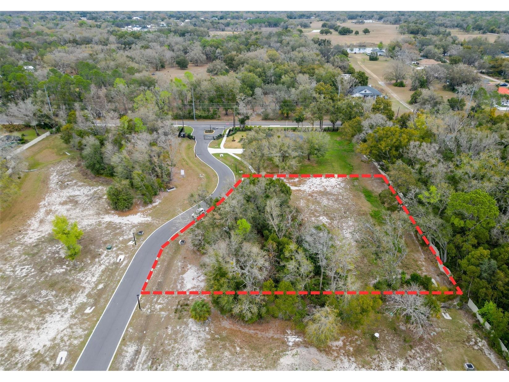 18469 Purple Creek Lane Lutz FL 33549 TB8480398 image6