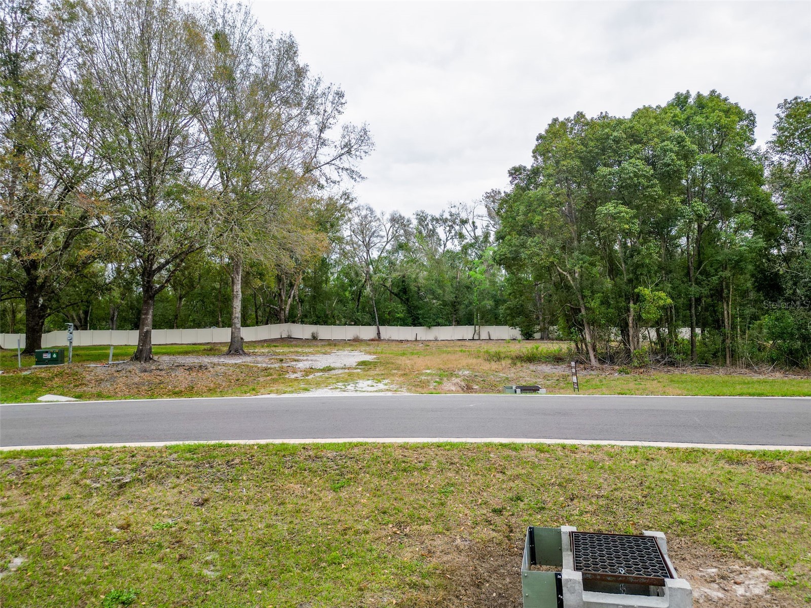 18469 Purple Creek Lane Lutz FL 33549 TB8480398 image7