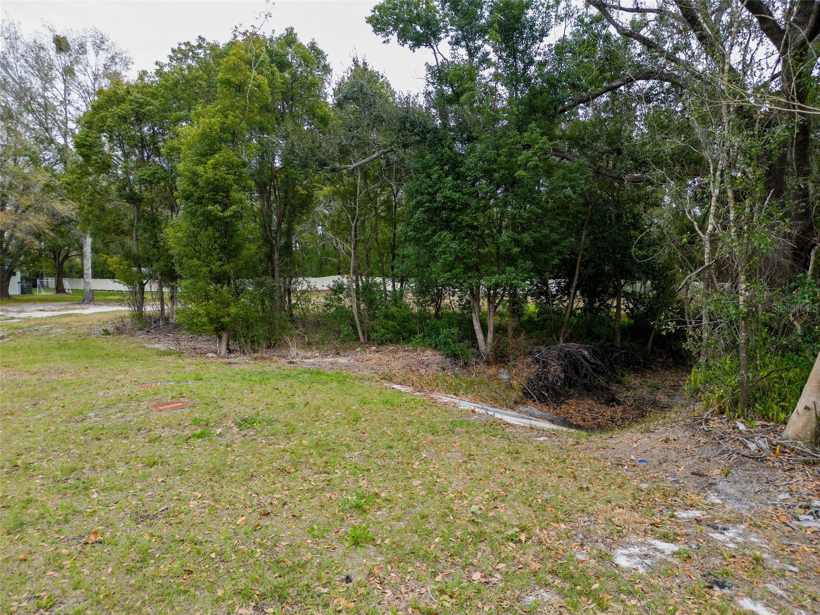 18469 Purple Creek Lane Lutz FL 33549 TB8480398 image8