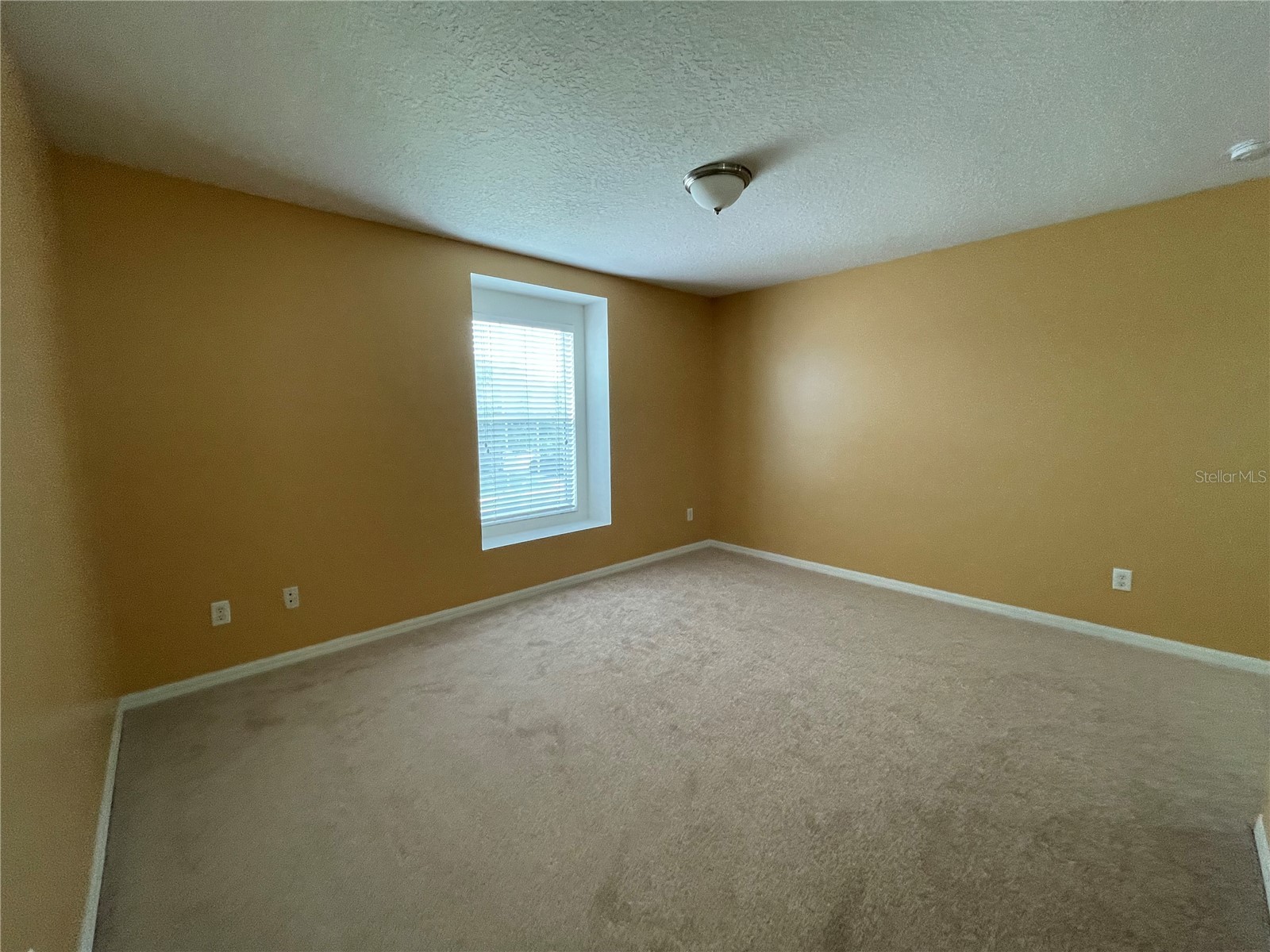1847 Nesting Lane Winter Garden FL 34787 O6415461 image16