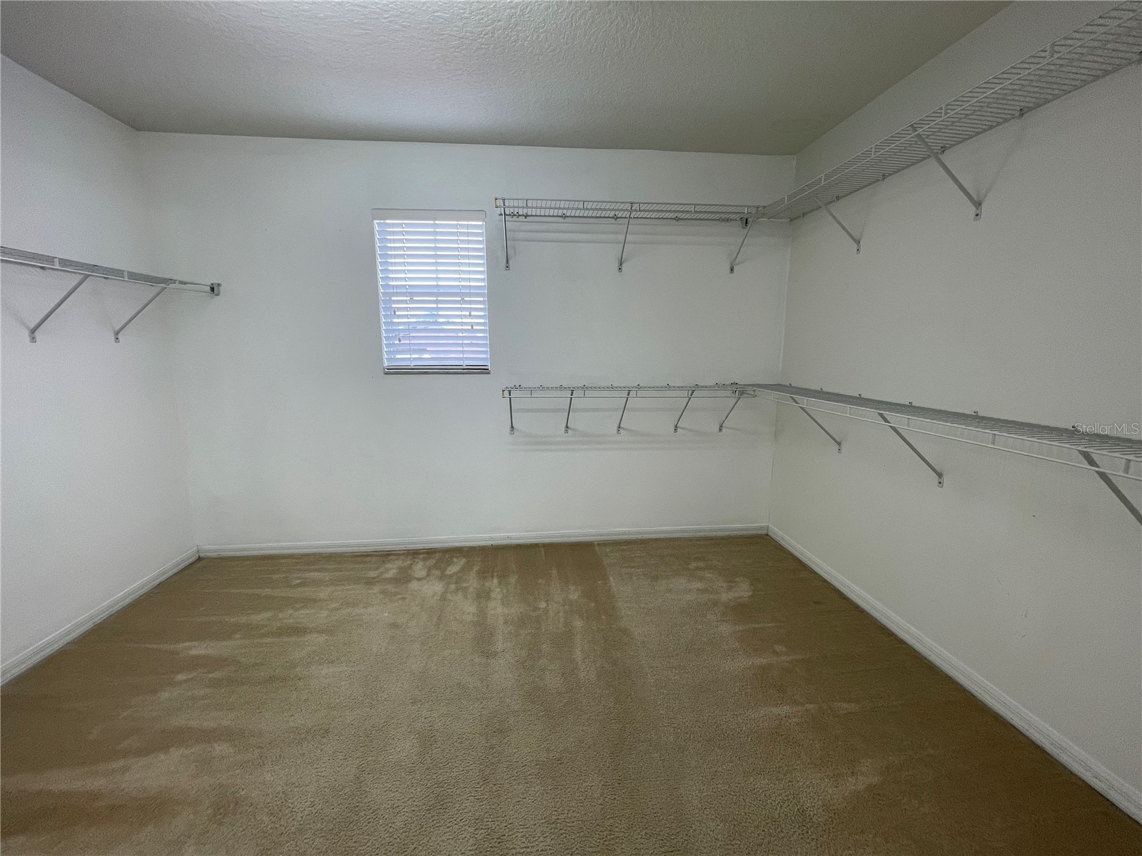 1847 Nesting Lane Winter Garden FL 34787 O6415461 image23