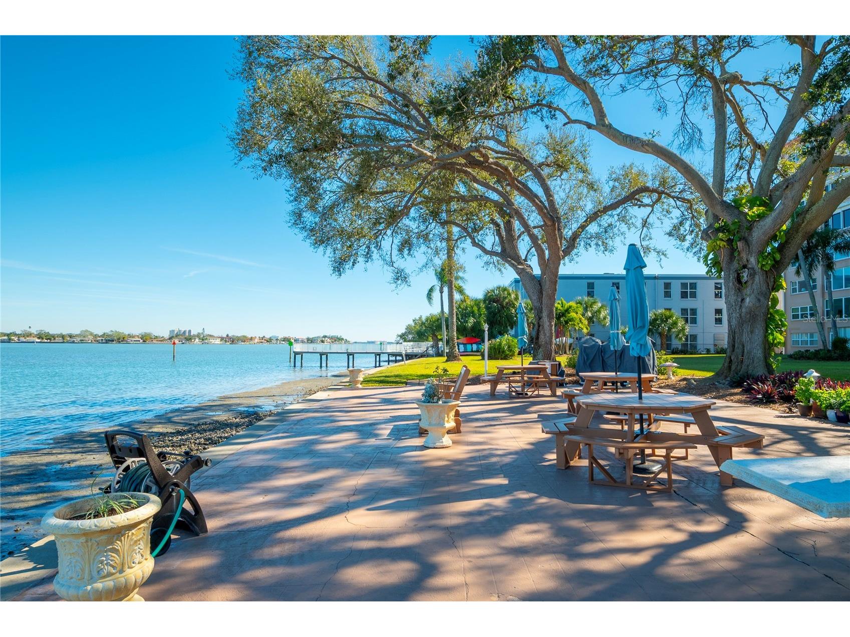 1847 Shore Drive S #204 South Pasadena FL 33707 TB8467060 image25