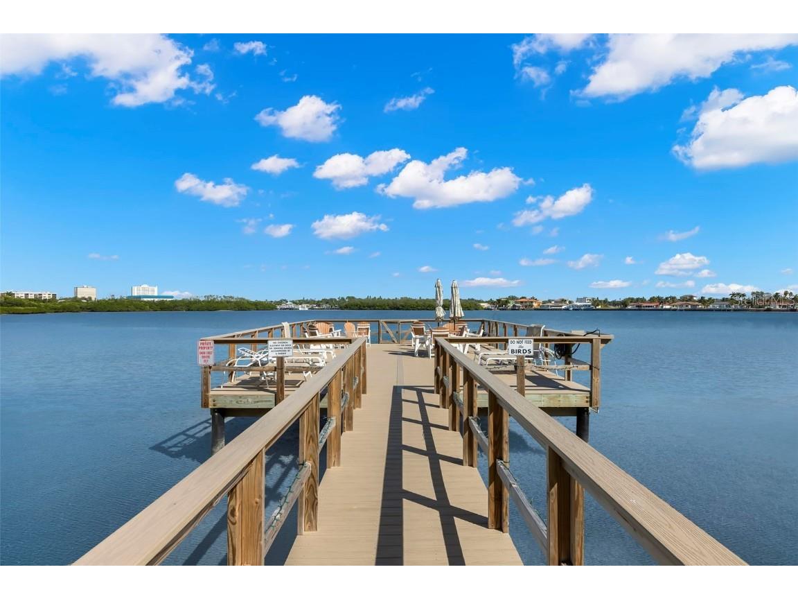 1847 Shore Drive S #414 South Pasadena FL 33707 TB8447021 image23