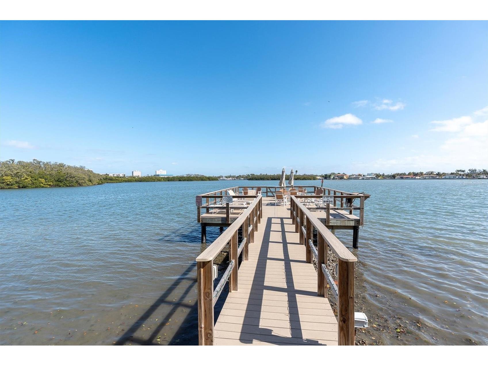 1847 Shore Drive S #419 South Pasadena FL 33707 - BOCA CIEGA BAY TB8479843 image4