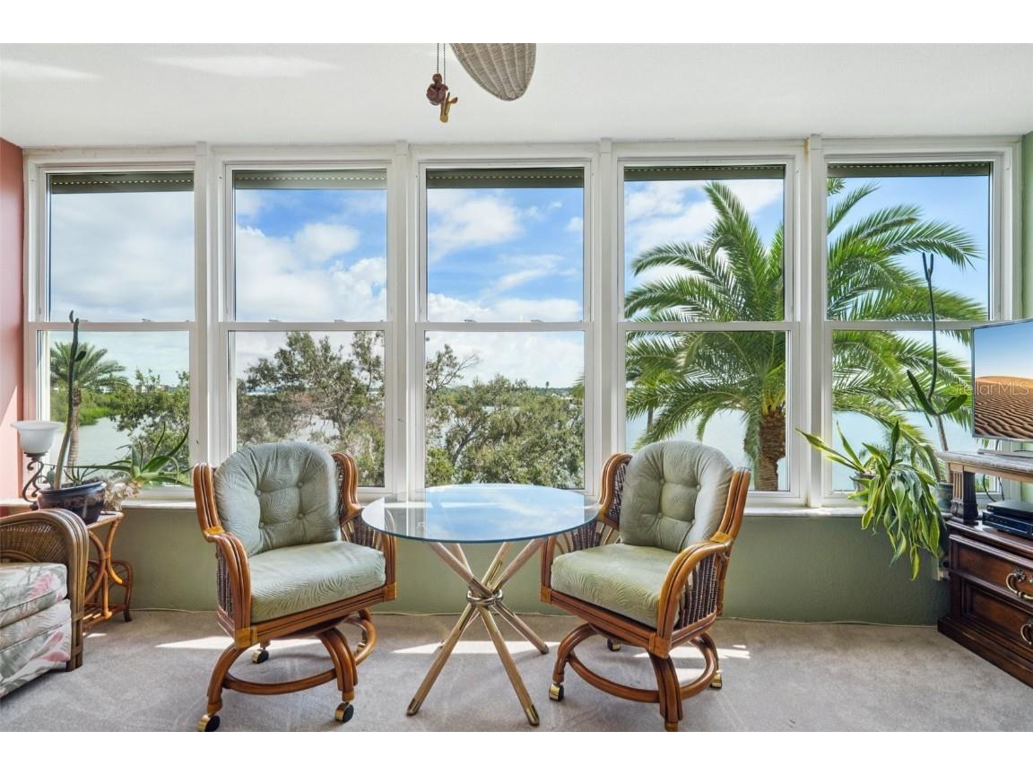 1847 Shore Drive S #516 South Pasadena FL 33707 TB8427264 image13