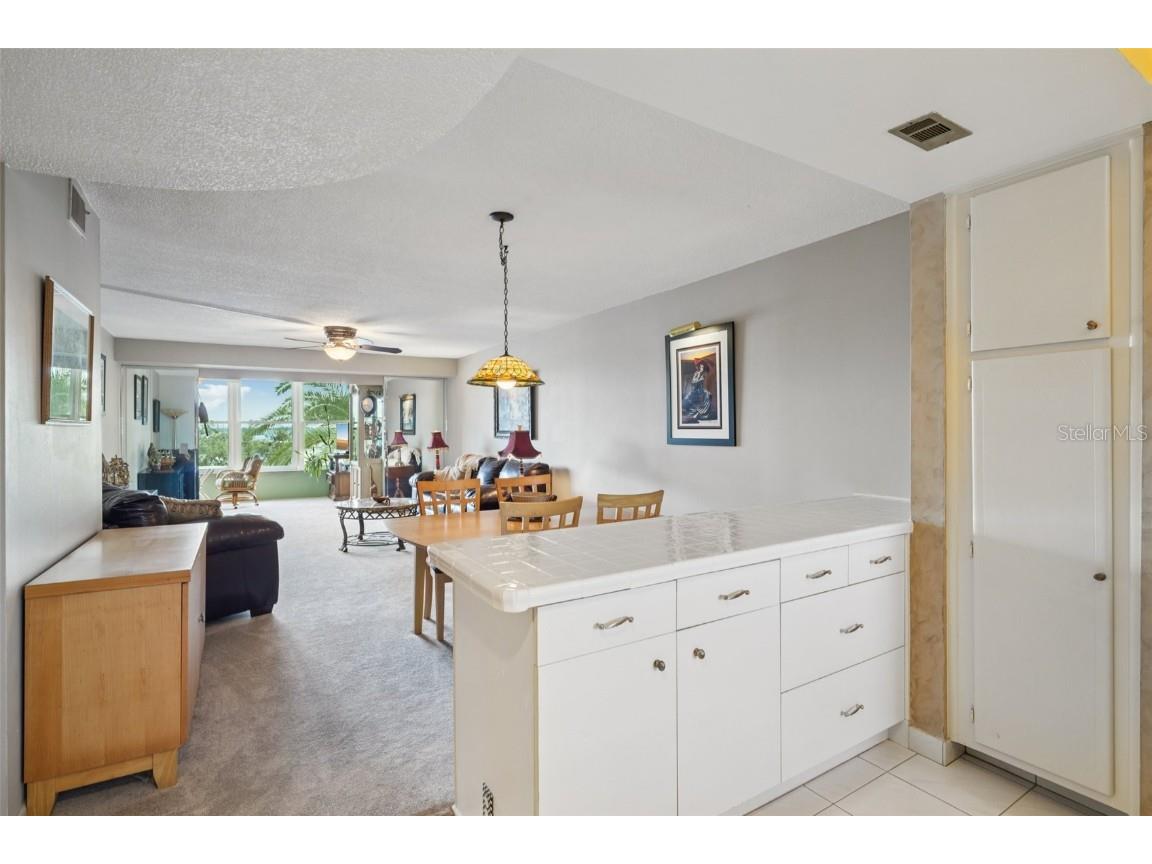 1847 Shore Drive S #516 South Pasadena FL 33707 TB8427264 image3