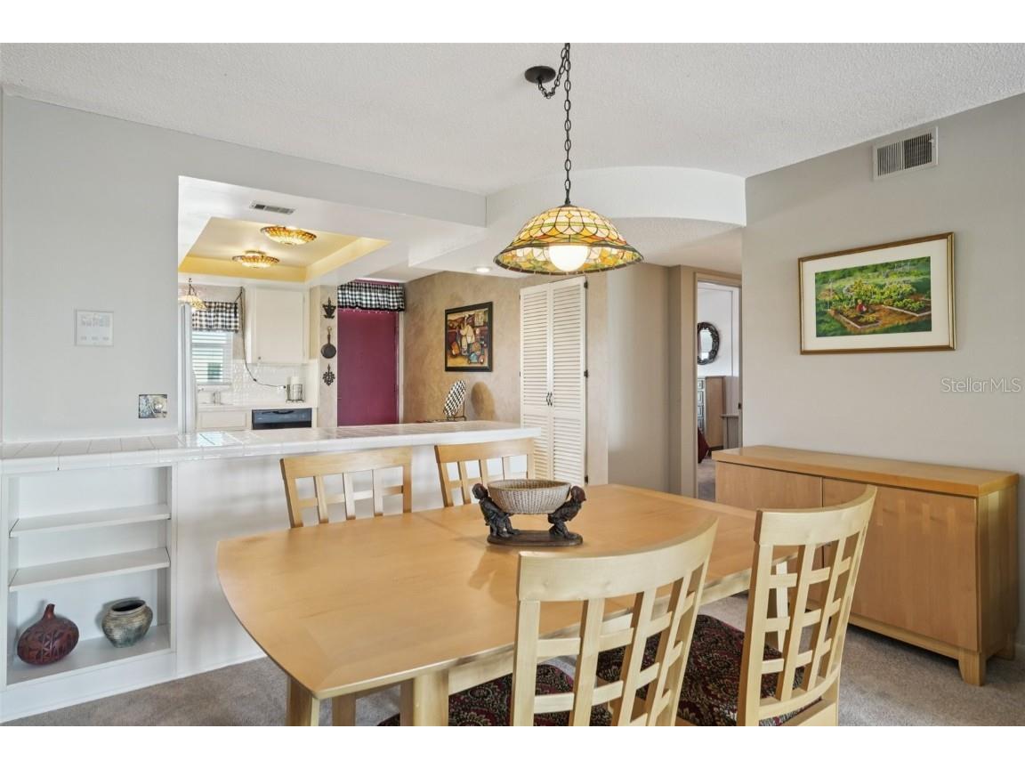 1847 Shore Drive S #516 South Pasadena FL 33707 TB8427264 image6