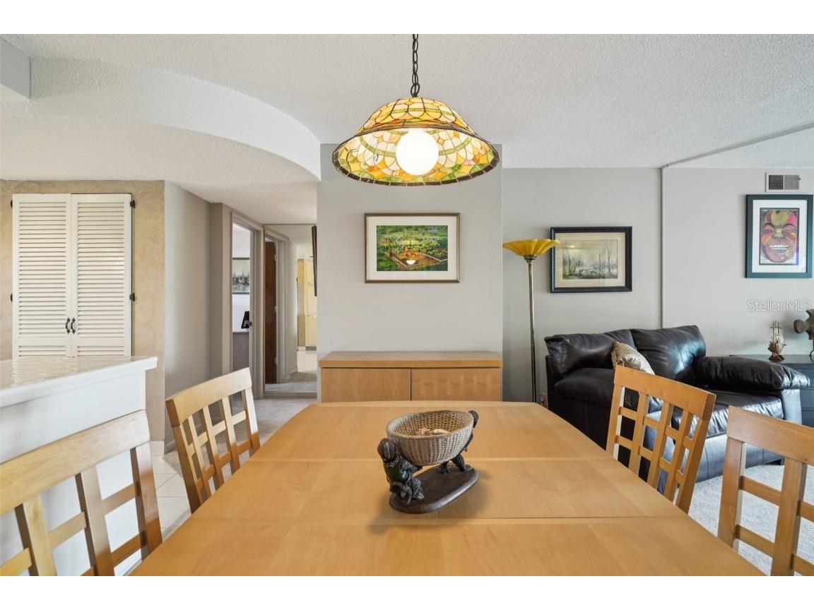 1847 Shore Drive S #516 South Pasadena FL 33707 TB8427264 image7