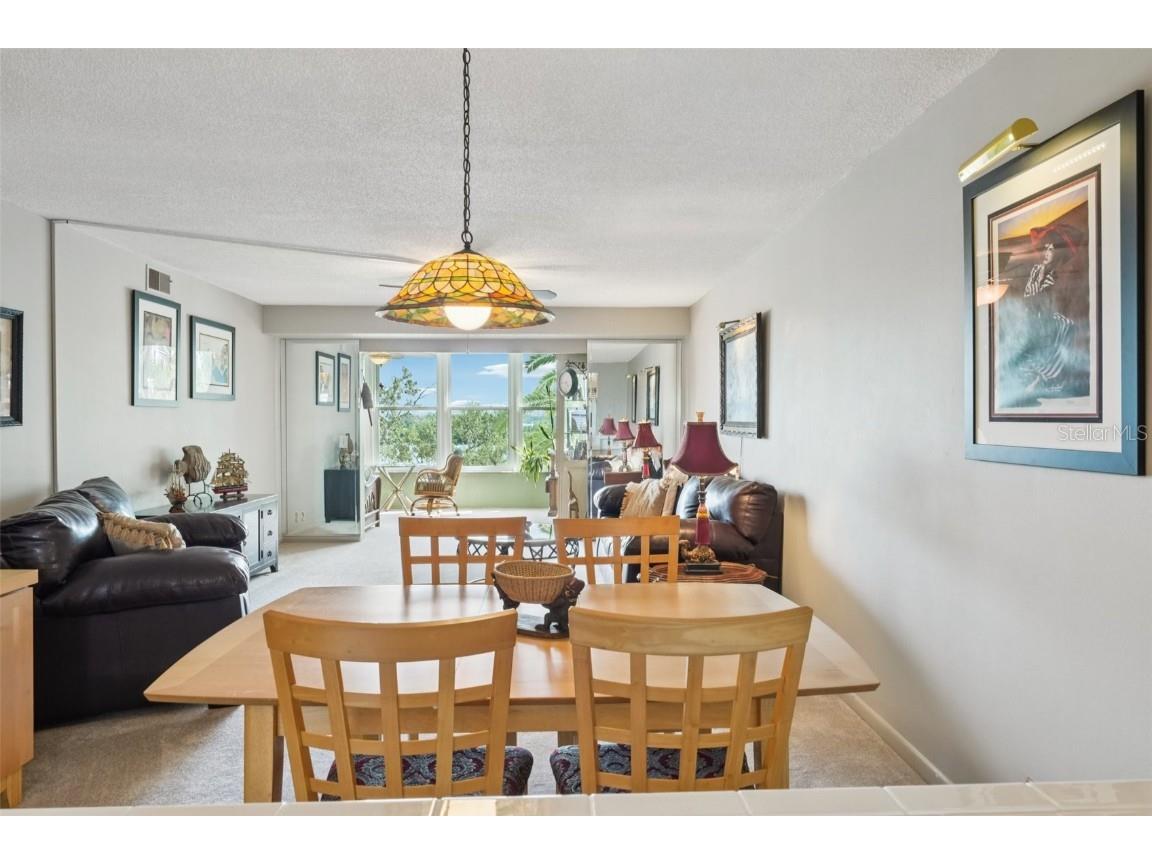 1847 Shore Drive S #516 South Pasadena FL 33707 TB8427264 image8