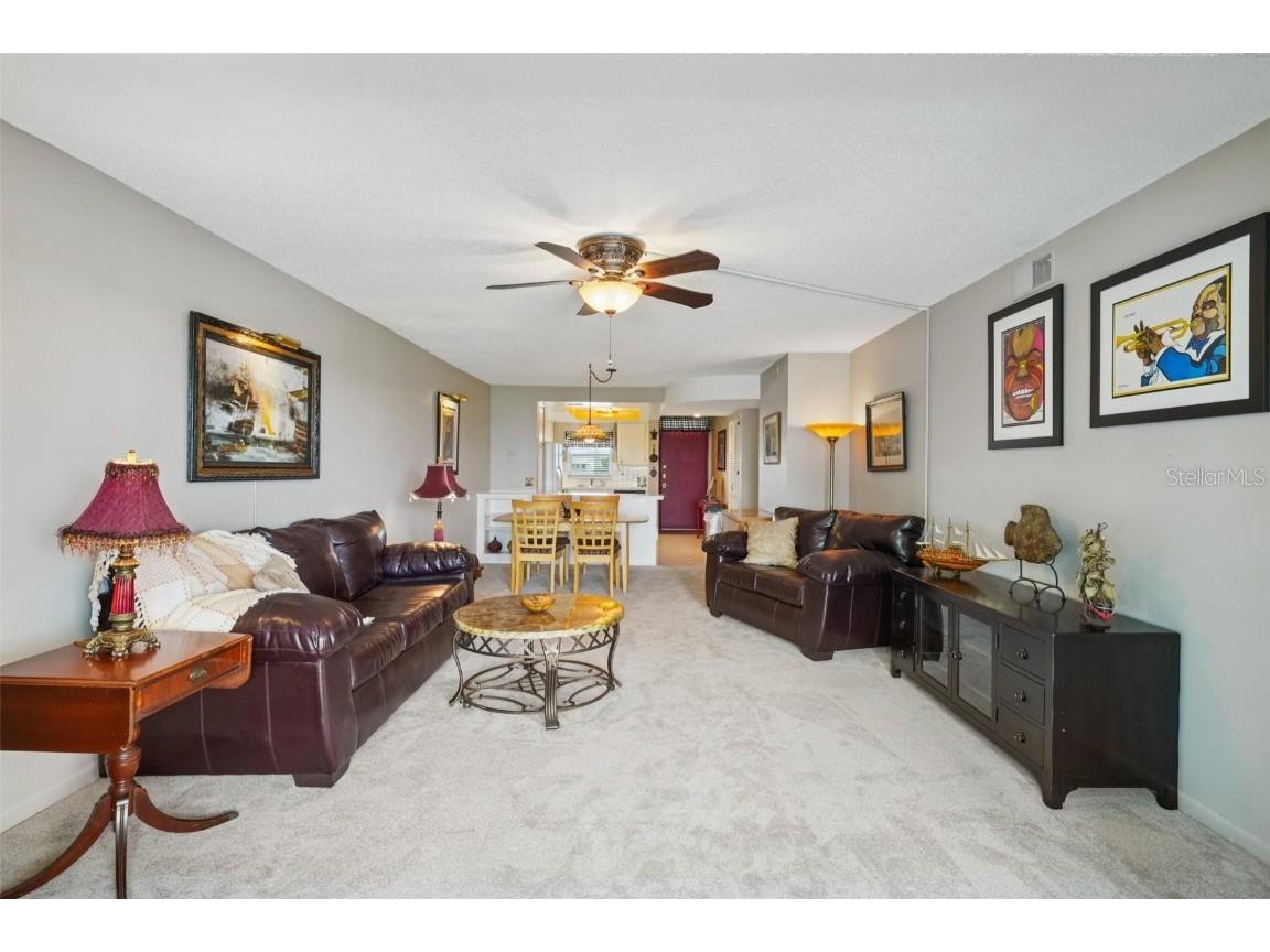 1847 Shore Drive S #516 South Pasadena FL 33707 TB8427264 image9