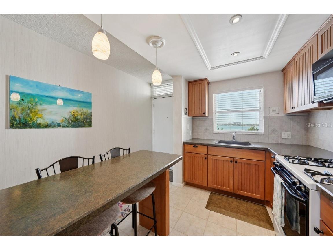 1847 Shore Drive S #711 South Pasadena FL 33707 - BOCA CIEGA BAY TB8447892 image10