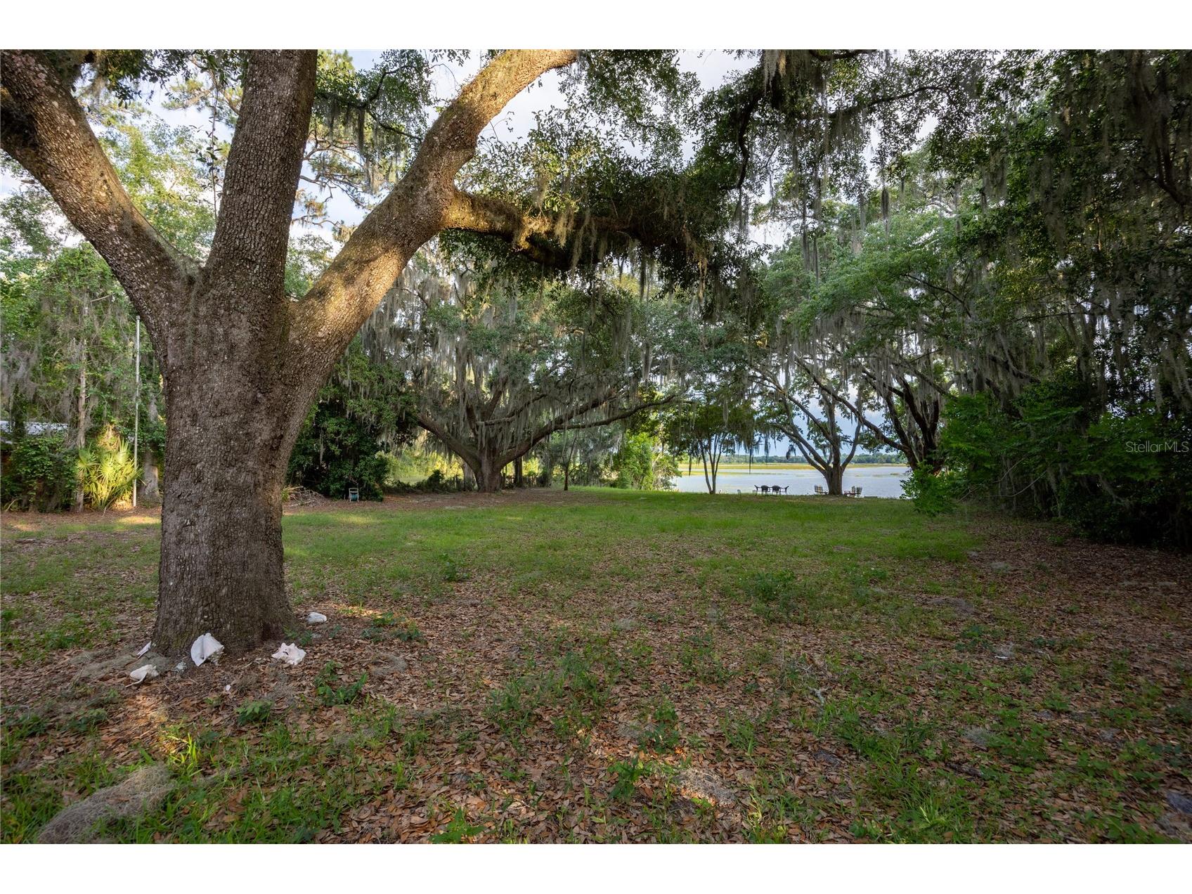 1847 State Road 20 Hawthorne FL 32640 - LAKE COWPEN GC540649 image36