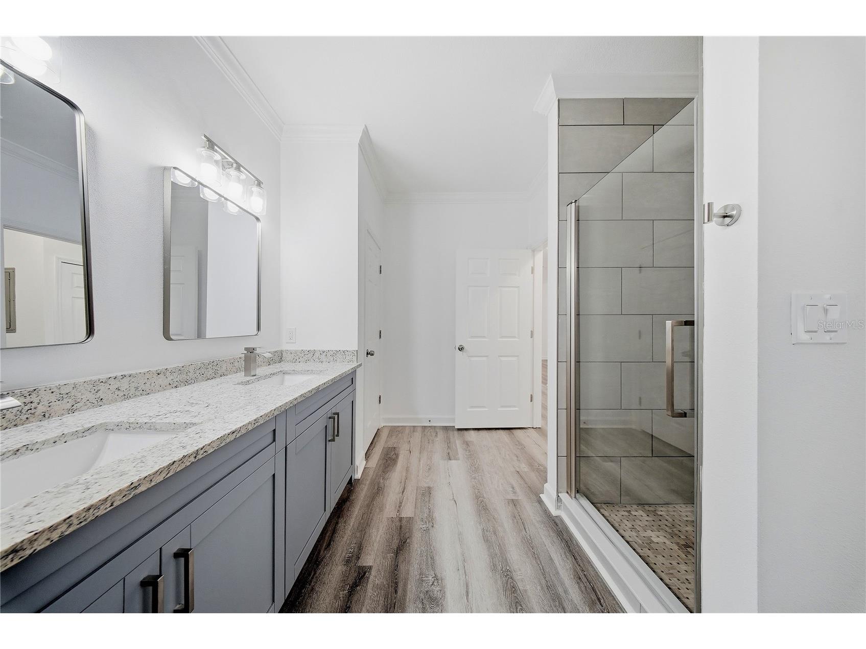 18477 Bridle Club Drive Tampa FL 33647 TB8513484 image10