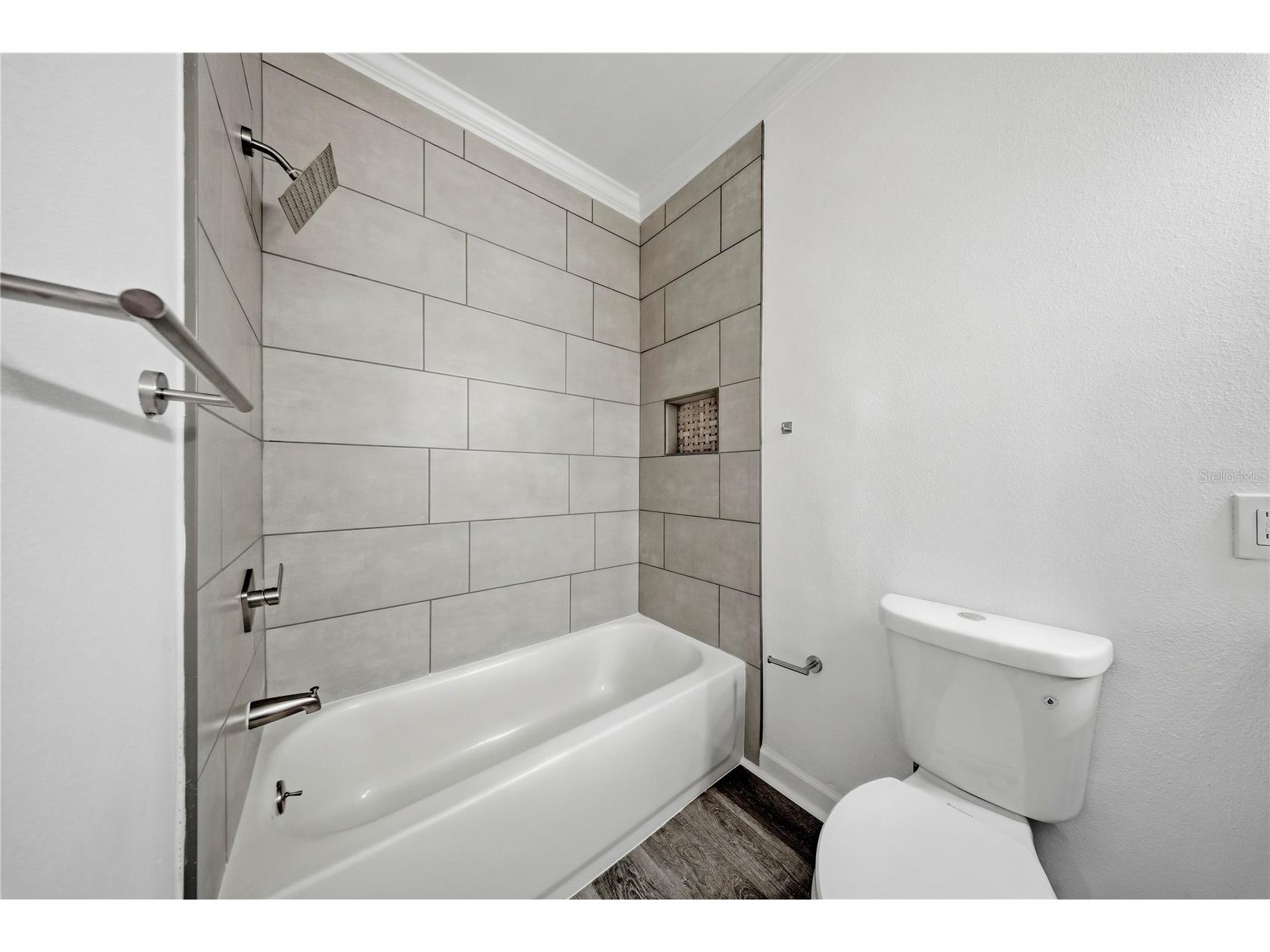 18477 Bridle Club Drive Tampa FL 33647 TB8513484 image9