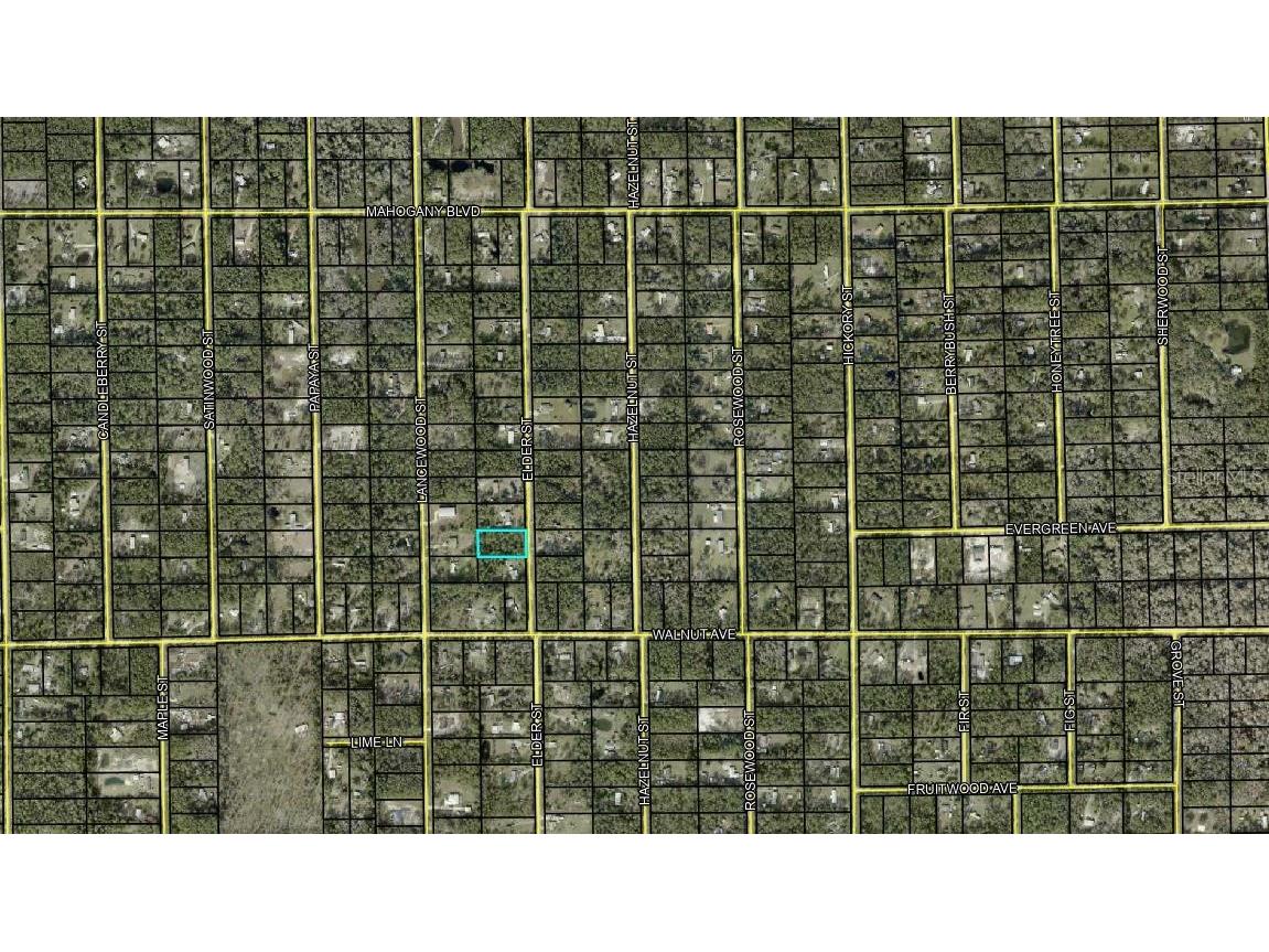 1848 Elder Street Bunnell FL 32110 V4930897 image1