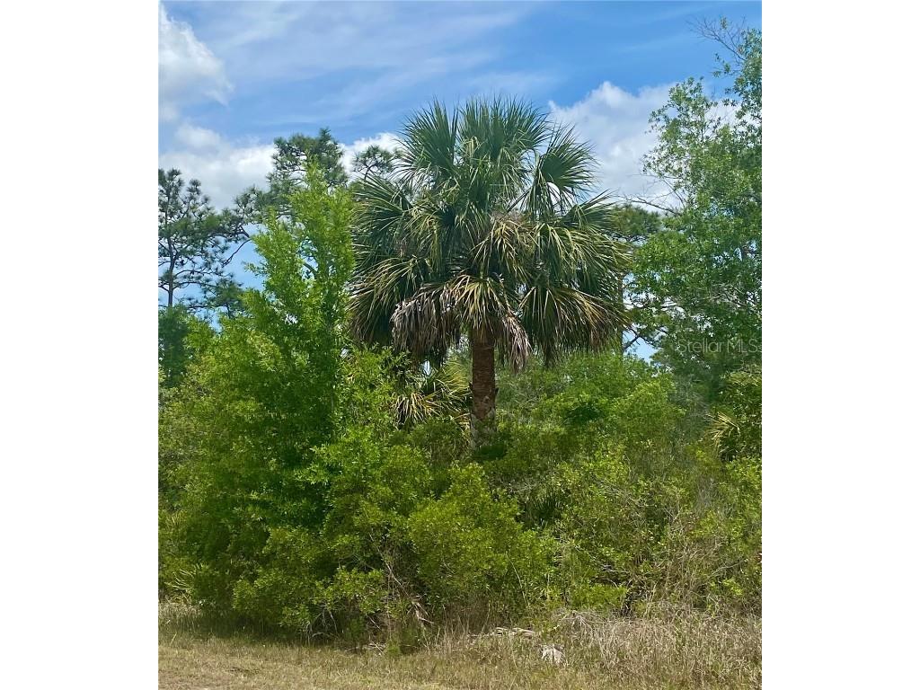 18484 Parallel Road Weeki Wachee FL 34614 W7875148 image2