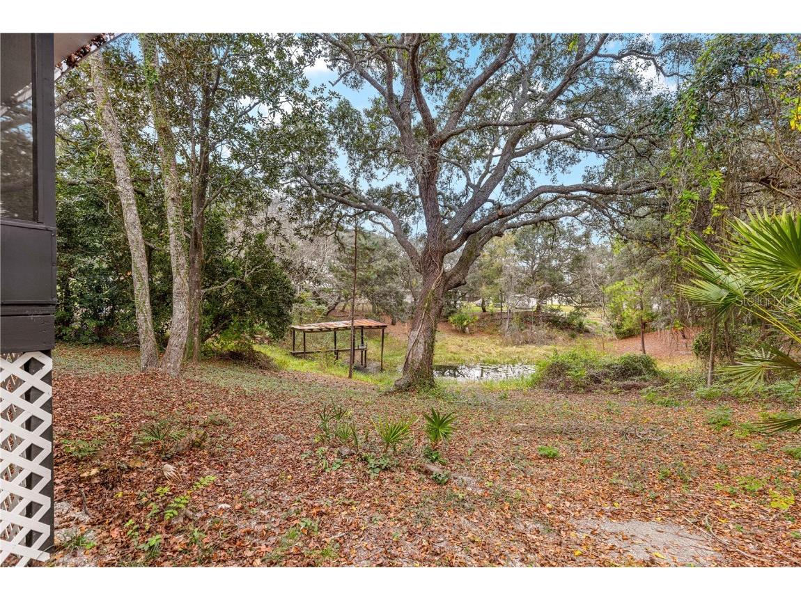 18487 SE 18th Street Road Silver Springs FL 34488 G5105874 image41