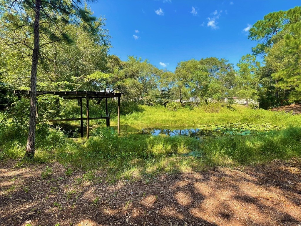 18487 SE 18th Street Road Silver Springs FL 34488 OM708359 image35