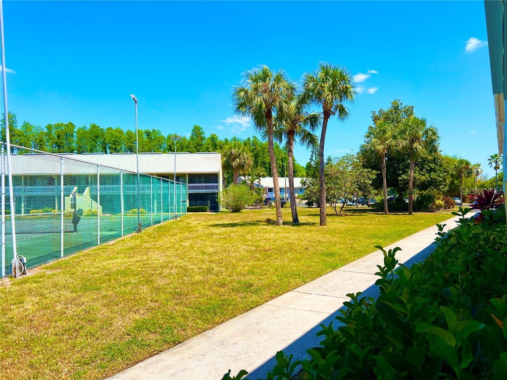 1849 Abrico Drive #K9 Lutz FL 33558 TB8380678 image2