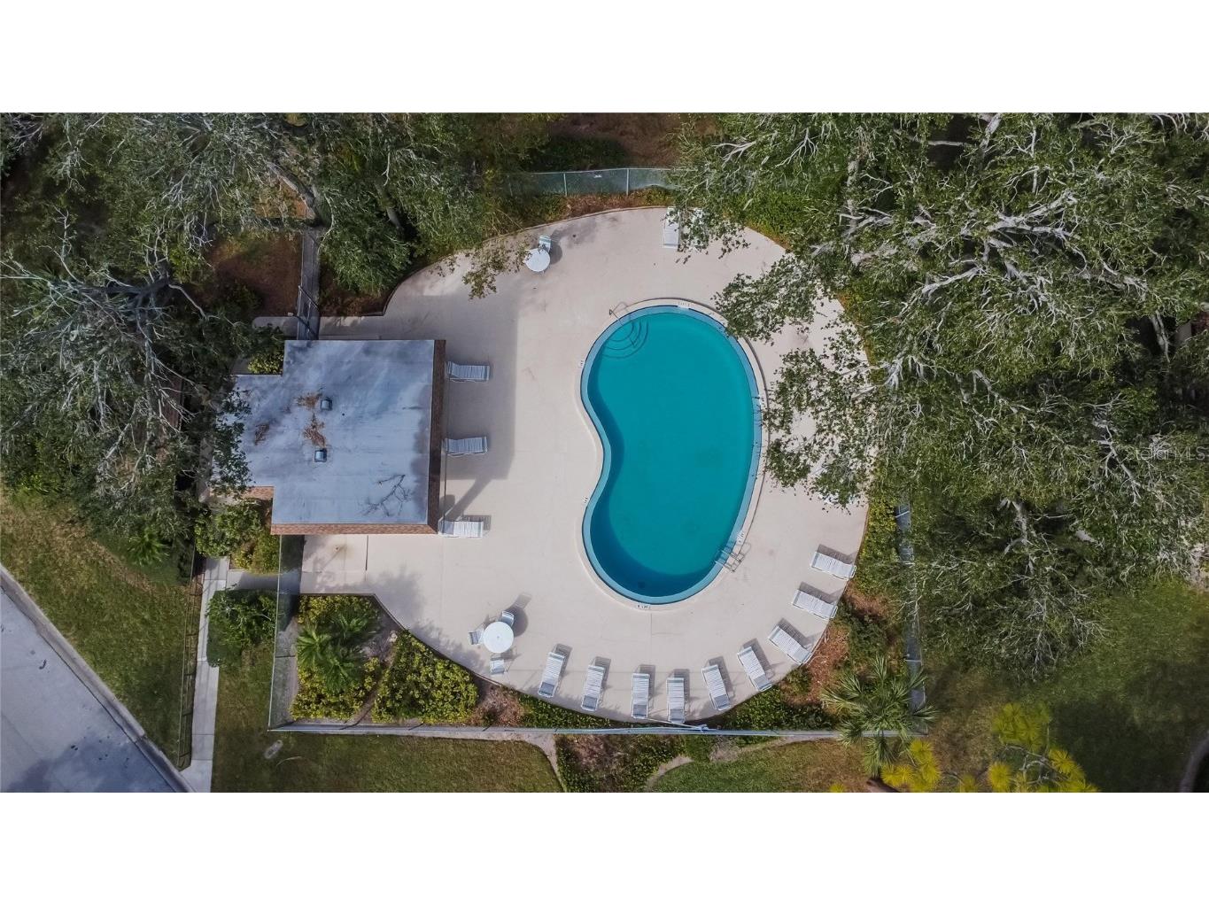 1849 Bough Avenue #D Clearwater FL 33760 TB8336181 image44