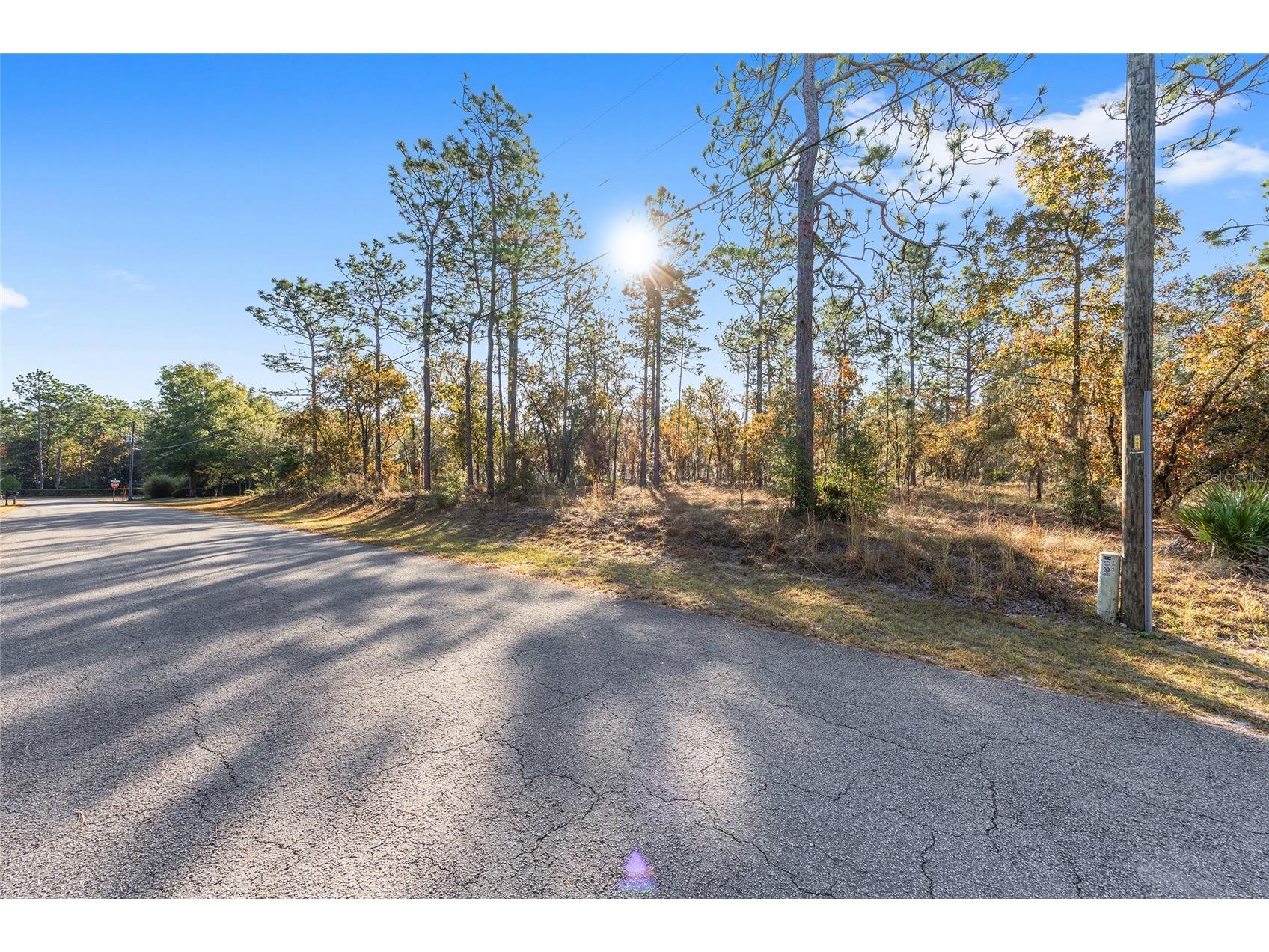 18498 SW 69th Loop Dunnellon FL 34432 - RAINBOW RIVER PRIVATE ACCESS OM713540 image60