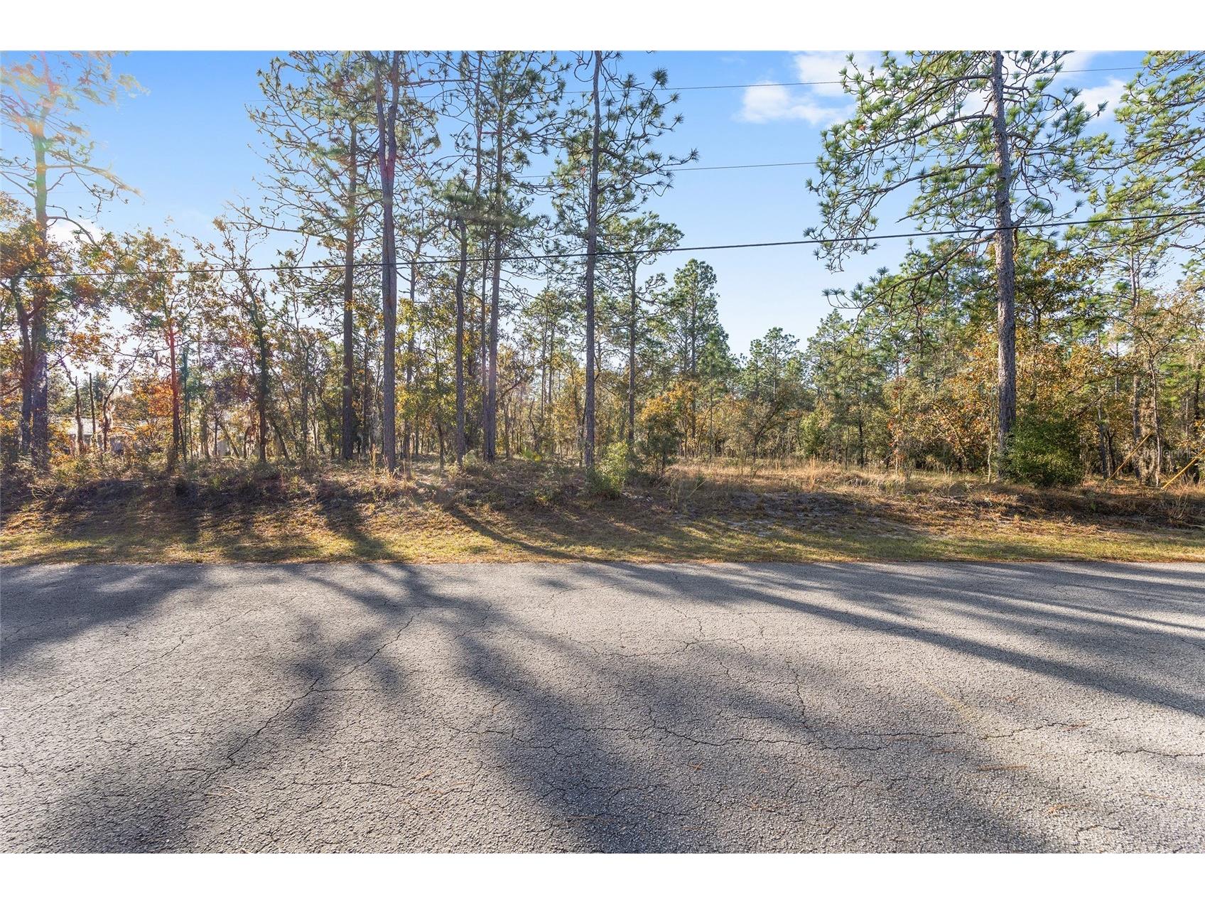 18498 SW 69th Loop Dunnellon FL 34432 - RAINBOW RIVER PRIVATE ACCESS OM713540 image61