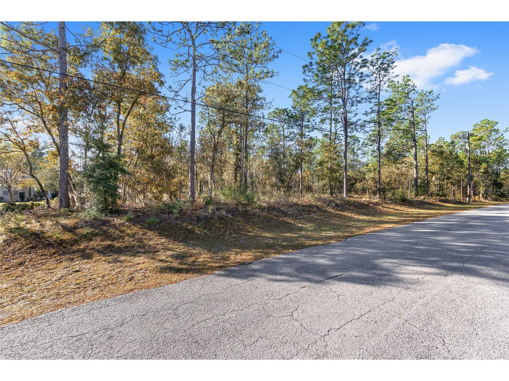 18498 SW 69th Loop Dunnellon FL 34432 - RAINBOW RIVER PRIVATE ACCESS OM713540 image62