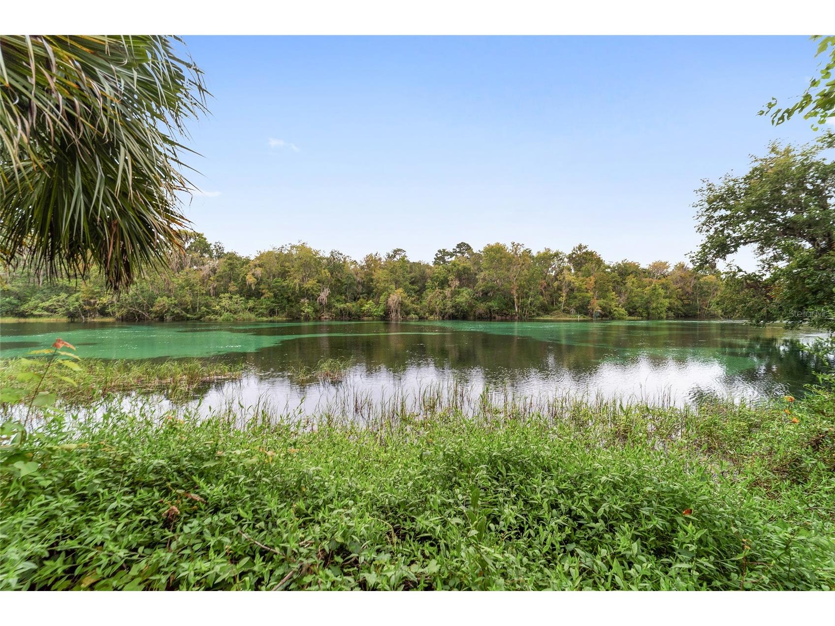 18498 SW 69th Loop Dunnellon FL 34432 - RAINBOW RIVER PRIVATE ACCESS OM713540 image80
