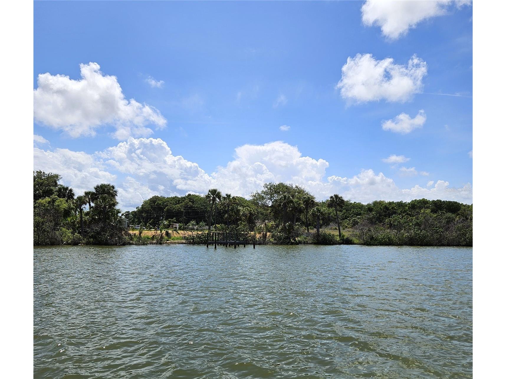 185 Jones Fish Camp Road Edgewater FL 32141 NS1087816 image11