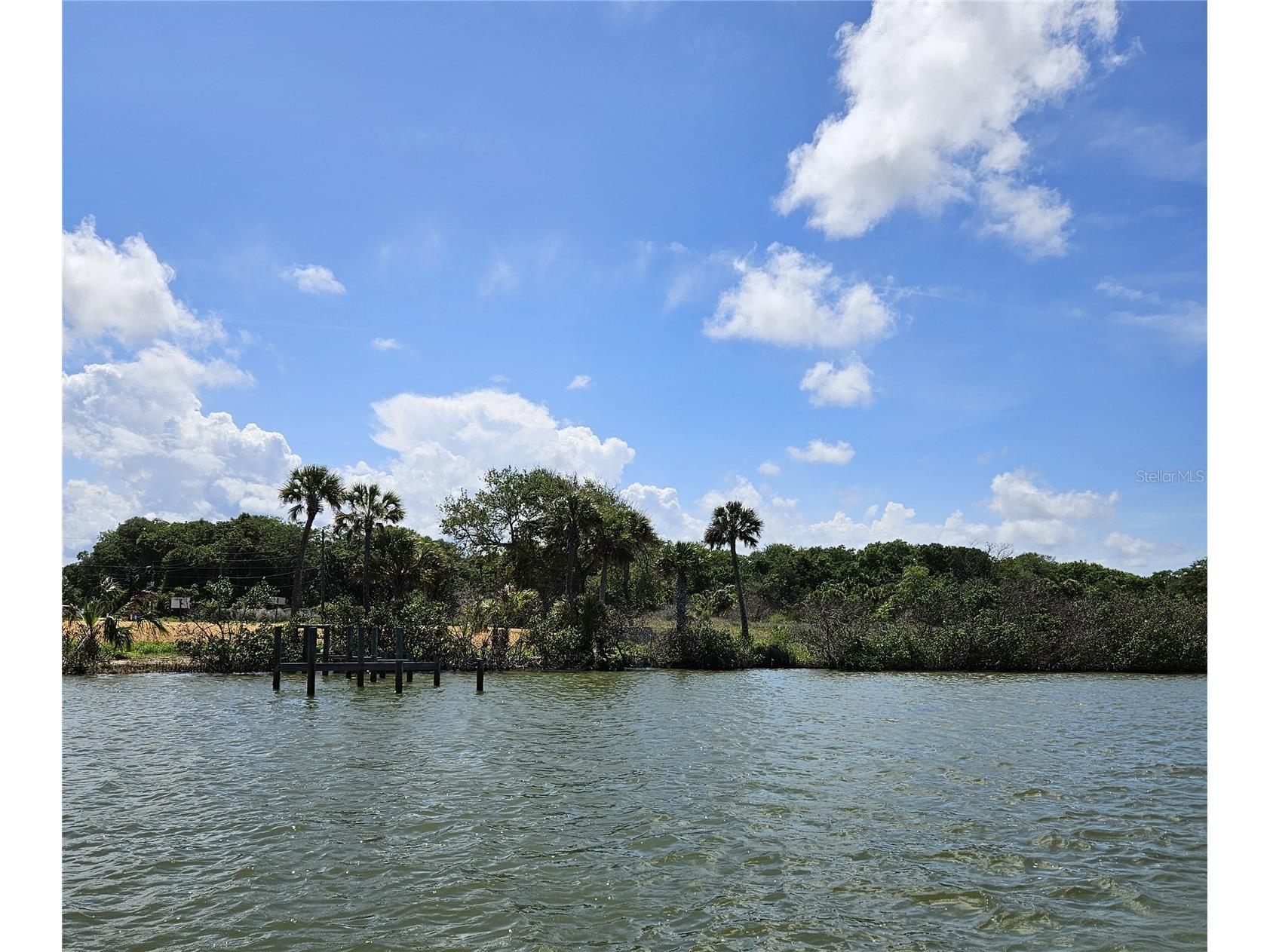 185 Jones Fish Camp Road Edgewater FL 32141 NS1087816 image12