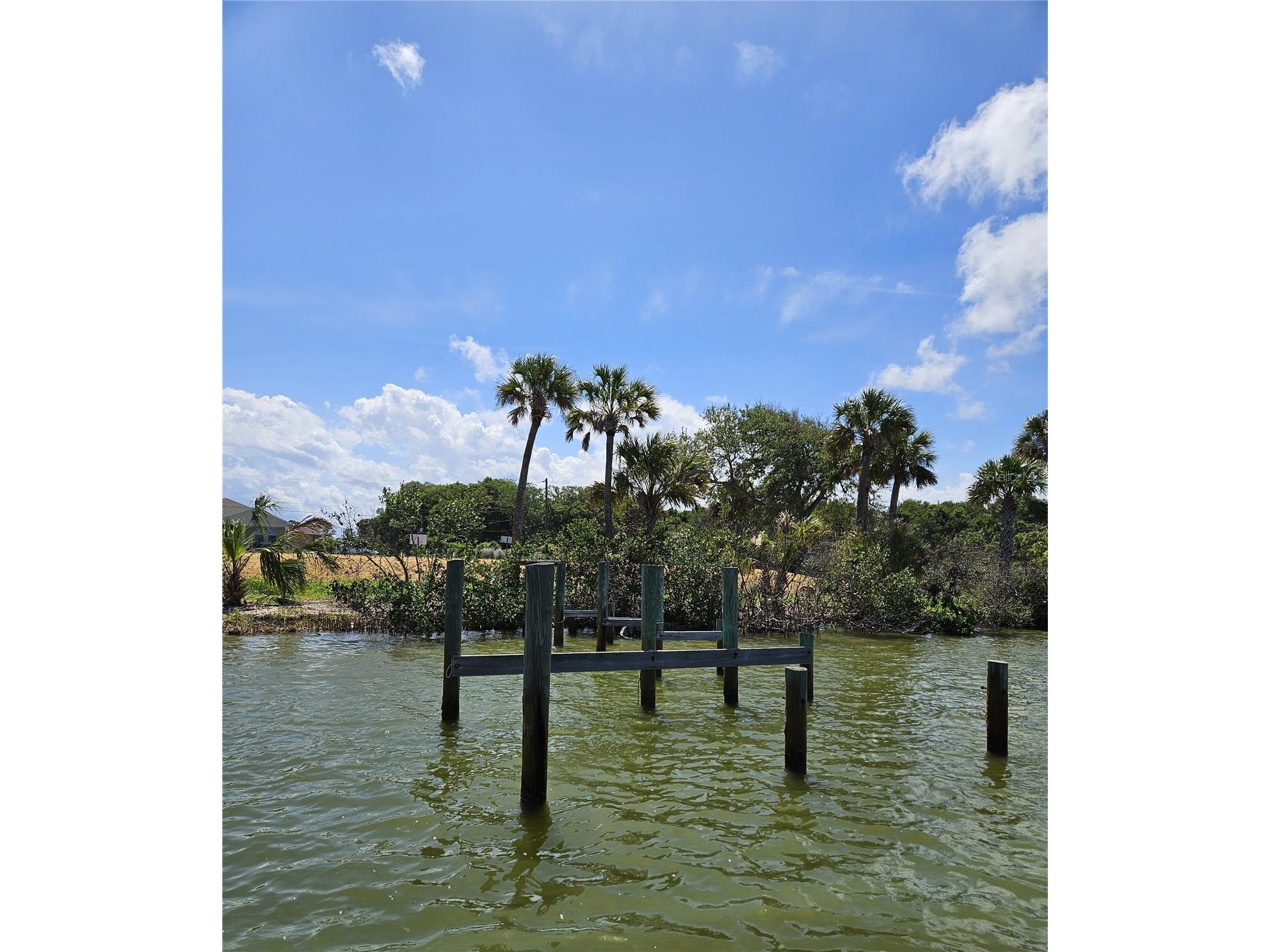 185 Jones Fish Camp Road Edgewater FL 32141 NS1087816 image14