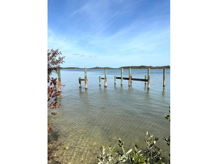 185 Jones Fish Camp Road Edgewater FL 32141 NS1087816 image9