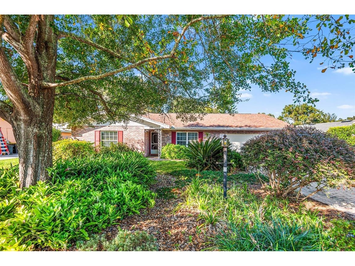 185 Lagoon Road Winter Haven FL 33884 - CANAL LEADS TO LAKE NED P4936898 image1