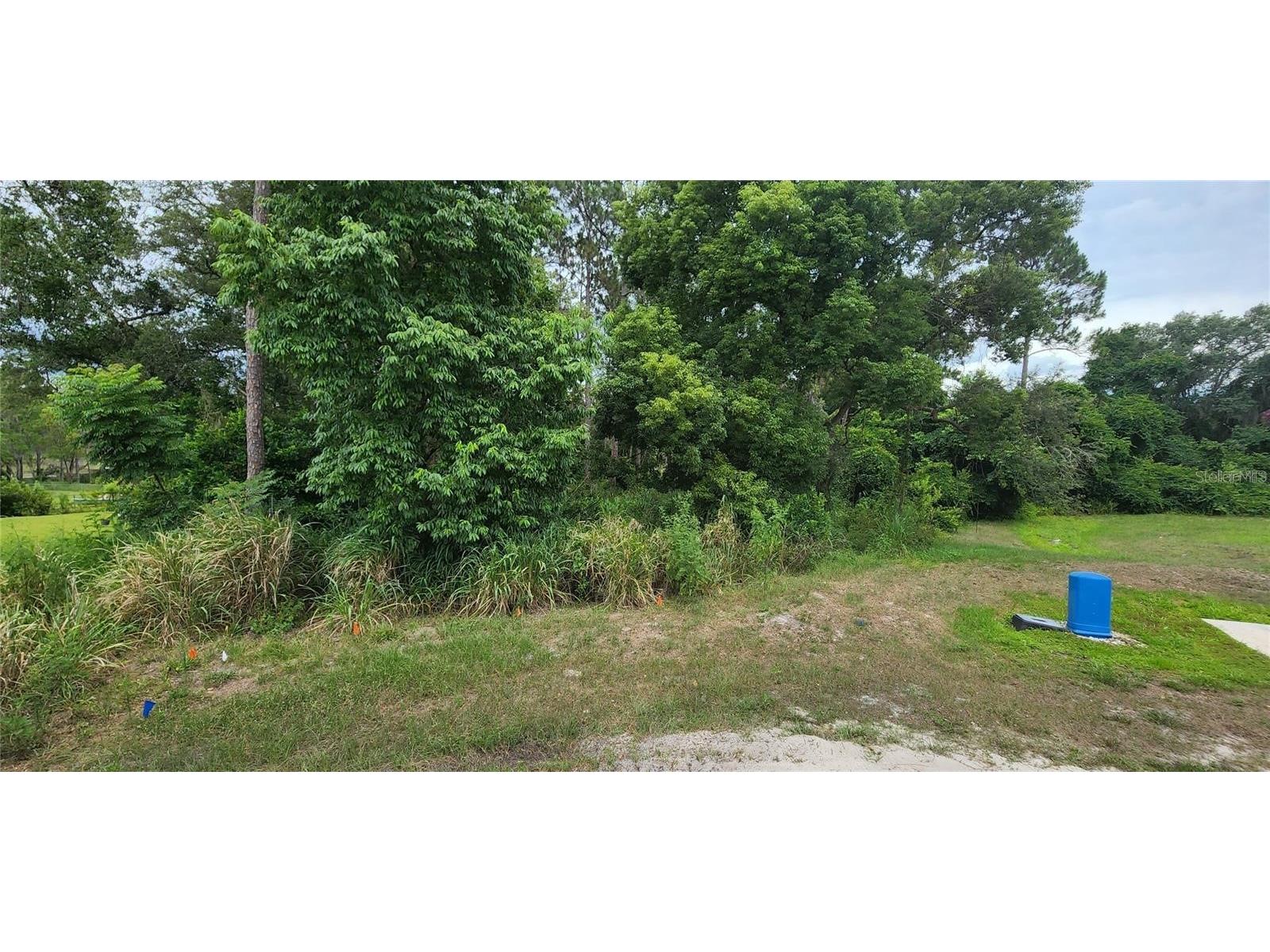 185 Oliver Court Deltona FL 32738 O6187656 image1