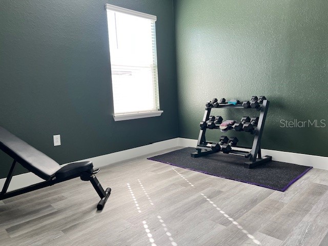 185 St Thomas Drive Mulberry FL 33860 L4957315 image25