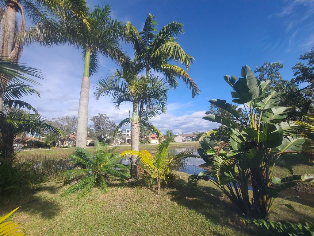 185 Wading Bird Drive Venice FL 34292 A4676358 image30