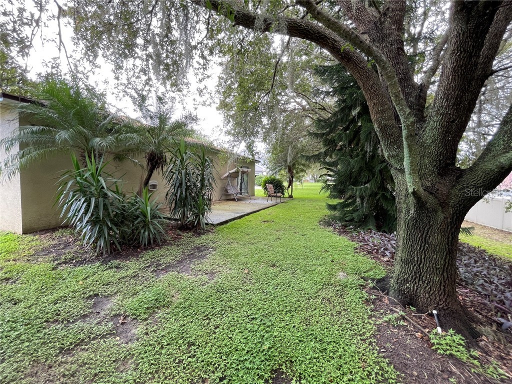 185 Winding Cove Avenue Apopka FL 32703 O6237365 image20